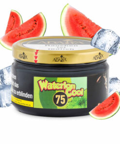 Adalya Tabak 200g Dose – Waterlon Cool (75)