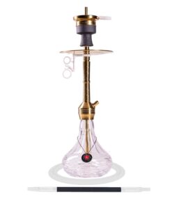 Amy Deluxe Xpress Chill S SS30.02 GD-TR