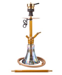 Amy Deluxe CARBONICA Pride R SS22.02 R GD-GD-BK