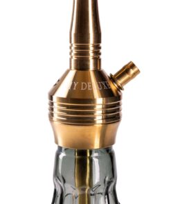 Amy Deluxe SS29.02SS-TR Xpress Fame S – image 3